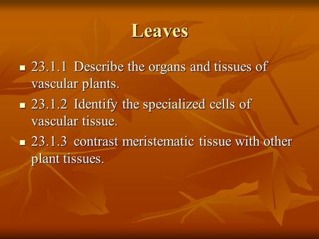 Leaves Describe the organs and tissues of vascular plants.