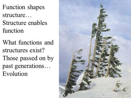 Function shapes structure… Structure enables function What functions and structures exist? Those passed on by past generations… Evolution.