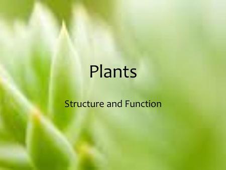 Plants Structure and Function. Plants – An Overview Have existed on this planet for nearly 400 million years. Without plants, life on Earth would not.
