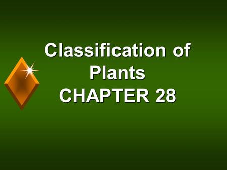 Classification of Plants CHAPTER 28