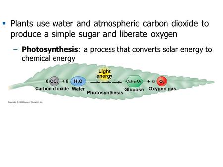 Carbon dioxide C 6 H 12 O 6 Photosynthesis H2OH2O CO 2 O2O2 Water + 66 Light energy Oxygen gas Glucose + 6  Plants use water and atmospheric carbon dioxide.