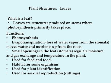 Plant Structures: Leaves What is a leaf? Leaves are structures produced on stems where photosynthesis primarily takes place. Functions: Photosynthesis.