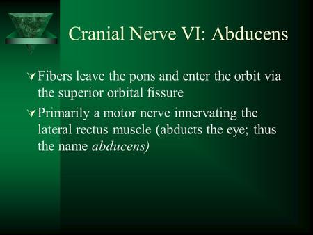 Cranial Nerve VI: Abducens  Fibers leave the pons and enter the orbit via the superior orbital fissure  Primarily a motor nerve innervating the lateral.