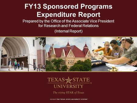 FY13 Sponsored Programs Expenditure Report Prepared by the Office of the Associate Vice President for Research and Federal Relations (Internal Report)