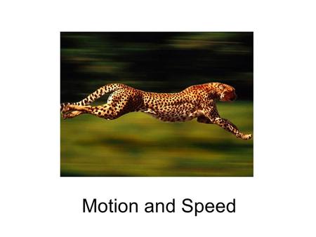Motion and Speed. What is Motion? any physical movement or change in position or place, relative to a reference point Reference Point Movement.