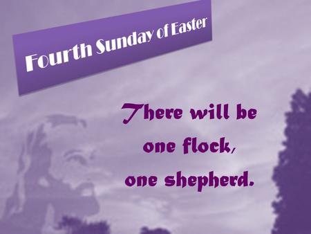 There will be one flock, one shepherd.. Please pray for the sick in our parish: Marie Smith Addie Klassen Gwen Bontje Michael Roberts Andrew Johnstone.