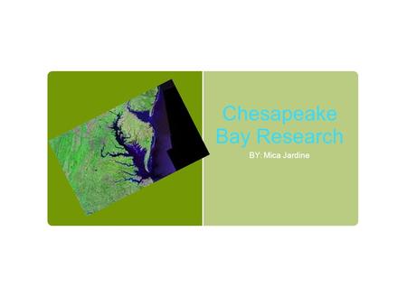 Chesapeake Bay Research BY: Mica Jardine. It Is Important To Have A Variety of living Things In The Bay The Soft Shell Clams help to keep the bay clean.