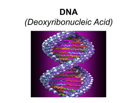 DNA (Deoxyribonucleic Acid) Mr. Coleman Biology.