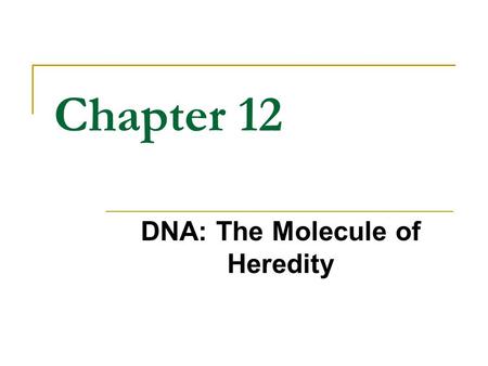 Chapter 12 DNA: The Molecule of Heredity. Objectives Analyze the structure of DNA Determine how the structure of DNA enables it to reproduce itself accurately.