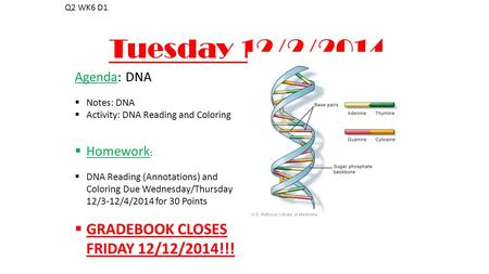 Tuesday 12/2/2014 Q2 WK6 D1 Agenda: DNA  Notes: DNA  Activity: DNA Reading and Coloring  Homework :  DNA Reading (Annotations) and Coloring Due Wednesday/Thursday.