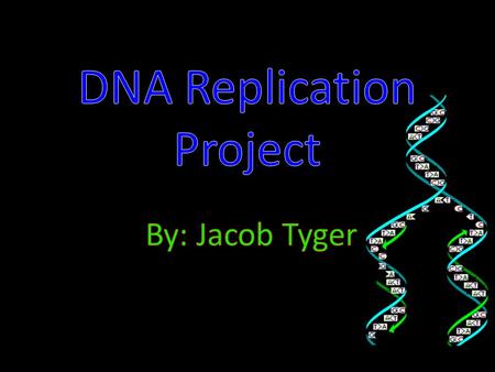 DNA Replication Project