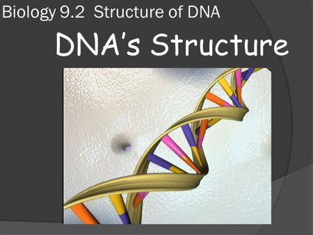 Biology 9.2 Structure of DNA DNA’s Structure. DNA’s winding staircase  By the early 1950s, most scientists were convinced that genes were made of DNA.