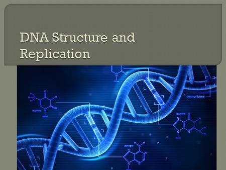  DNA (deoxyribonucleic acid) is a two stranded molecule called double helix  Each strand are made of smaller parts called nucleotides  The two strands.