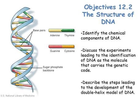 Objectives 12.2 The Structure of DNA -Identify the chemical components of DNA. -Discuss the experiments leading to the identification of DNA as the molecule.