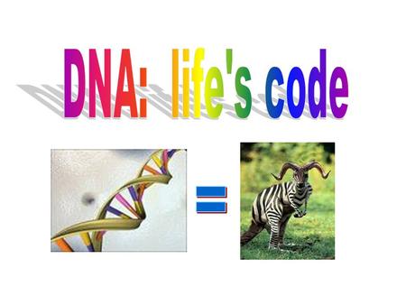 DNA: life's code =.
