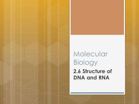 Molecular Biology 2.6 Structure of DNA and RNA. Nucleic Acids The nucleic acids DNA and RNA are polymers of nucleotides.