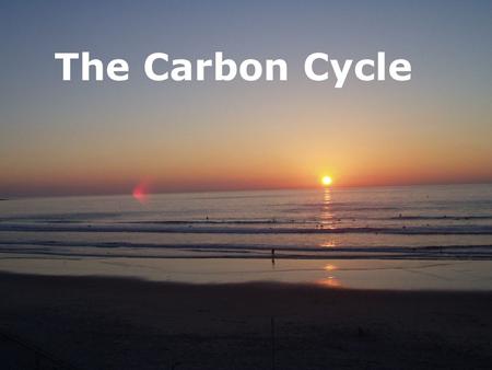 The Carbon Cycle. Carbon Dioxide and Carbonate system Why is it important? 1. CO 2 regulates temperature of the planet 2. Important for life in the ocean.