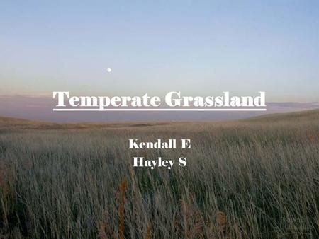 Temperate Grassland Kendall E Hayley S. Temperate Grassland Temperate grasslands are characterized by rolling hills and vast plains. (Miller, 137) They.