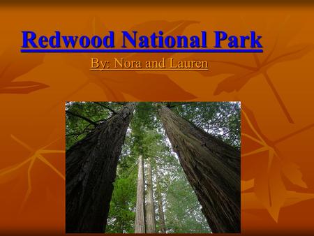 Redwood National Park By: Nora and Lauren. Location Redwood National Park is located in northernmost coastal California. Redwood National Park is located.