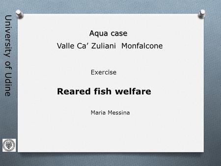 University of Udine Aqua case Valle Ca’ Zuliani Monfalcone Exercise Reared fish welfare Maria Messina.