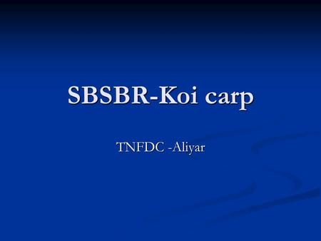 SBSBR-Koi carp TNFDC -Aliyar. TNFDC Aliyar –Koi carp report 2 SBSBR Installation.
