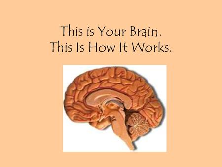 This is Your Brain. This Is How It Works.. Why should we as teachers want to better understand how the brain works? Share your thoughts with your neighbor!