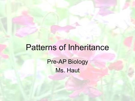 Patterns of Inheritance Pre-AP Biology Ms. Haut. Modern Theory of Heredity Based on Gregor Mendel’s fundamental principles of heredity –Parents pass on.