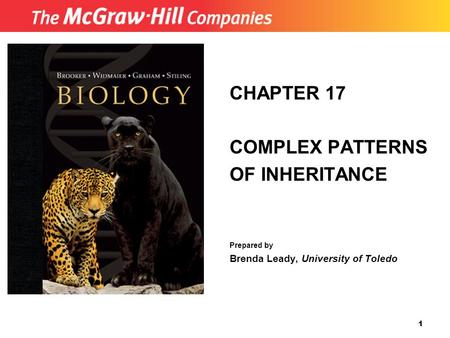 1 CHAPTER 17 COMPLEX PATTERNS OF INHERITANCE Prepared by Brenda Leady, University of Toledo.