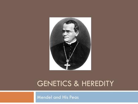 Genetics & Heredity Mendel and His Peas.