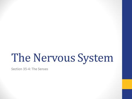 The Nervous System Section 35-4: The Senses.