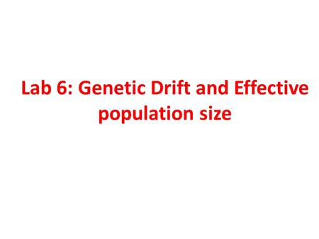 Lab 6: Genetic Drift and Effective population size.