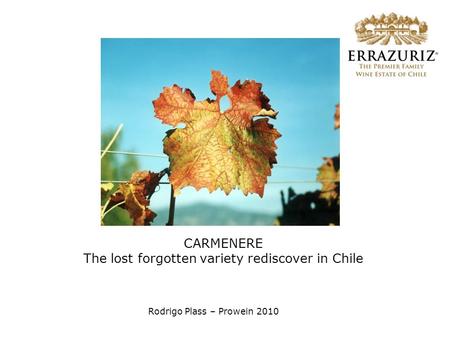 CARMENERE The lost forgotten variety rediscover in Chile Rodrigo Plass – Prowein 2010.
