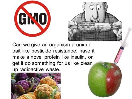 Can we give an organism a unique trait like pesticide resistance, have it make a novel protein like insulin, or get it do something for us like clean up.