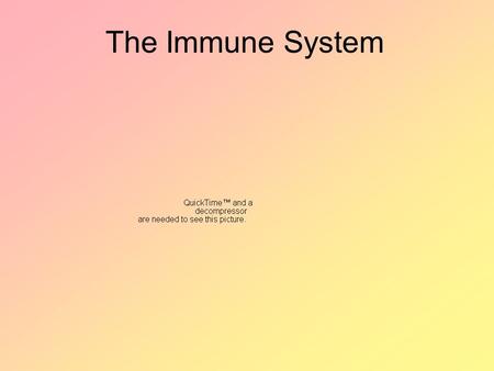 The Immune System. I. Source of Infection Pathogen - microorganism that causes disease Ex: bacteria, virus, yeast, fungus, protists, parasitic worms,