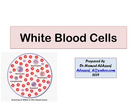 White Blood Cells Prepared by Dr. Hamad ALAssaf