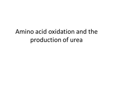 Amino acid oxidation and the production of urea. Catabolism of proteins and aa nitrogen How the nitrogen of aa is converted to urea and the rare disorders.