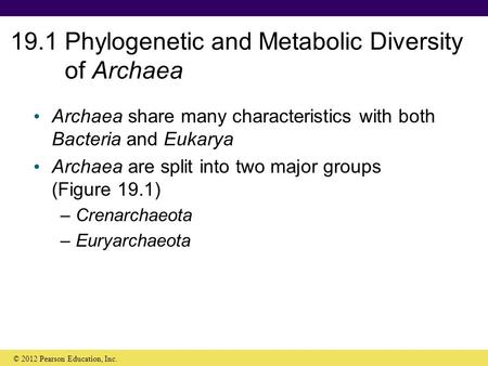 19.1 Phylogenetic and Metabolic Diversity of Archaea Archaea share many characteristics with both Bacteria and Eukarya Archaea are split into two major.