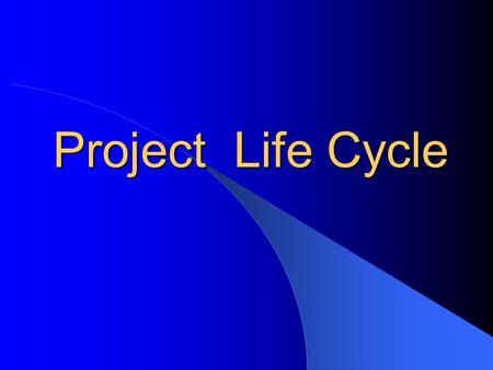 Project Life Cycle.