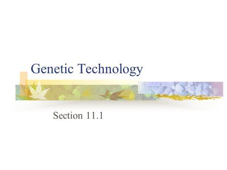 Genetic Technology Section 11.1. What is Biotechnology? Biotechnology is using living organisms to produce something useful for humans Selective breeding.