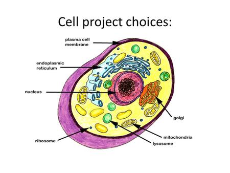 Cell project choices:. Create a 3D model of a plant or animal cell. Make sure to include all of the parts.