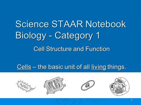 Science STAAR Notebook Biology - Category 1