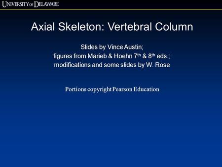 Axial Skeleton: Vertebral Column