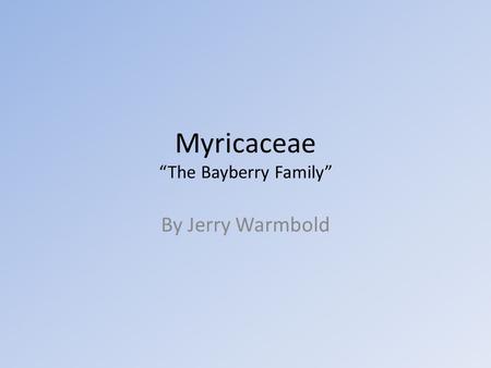 Myricaceae “The Bayberry Family” By Jerry Warmbold.