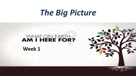 The Big Picture Week 1. What on Earth am I here for?  Question #1: Why Am I Alive? Ecclesiastes 1:2 “Meaningless! Meaningless!” Says the Teacher, “Utterly.