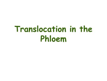 Translocation in the Phloem. Phloem transport A highly specialized process for redistributing: –Photosynthesis products –Other organic compounds (metabolites,