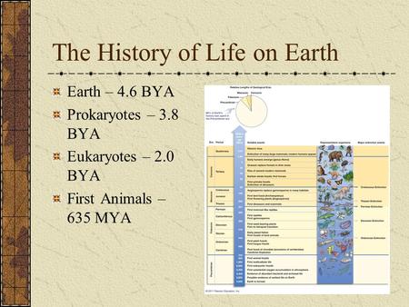 The History of Life on Earth Earth – 4.6 BYA Prokaryotes – 3.8 BYA Eukaryotes – 2.0 BYA First Animals – 635 MYA.