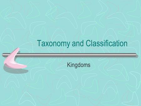Taxonomy and Classification Kingdoms. Basics of Taxonomy Taxonomy- branch of biology that studies the classification of organisms into increasingly specific.