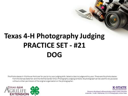 Texas 4-H Photography Judging PRACTICE SET - #21 DOG The Photo classes in this Power Point are for you to try your judging skills. Select a class to judge.