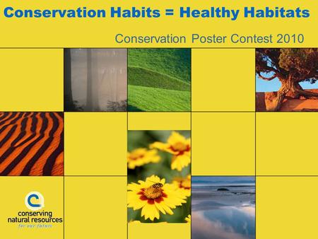 Conservation Habits = Healthy Habitats Conservation Poster Contest 2010.