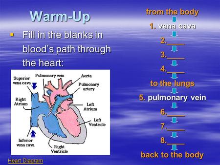 Warm-Up Fill in the blanks in blood’s path through the heart: